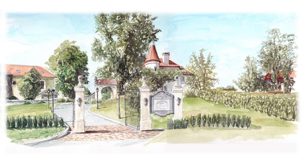 Château Brachet Grésy-sur-Aix Exterior foto